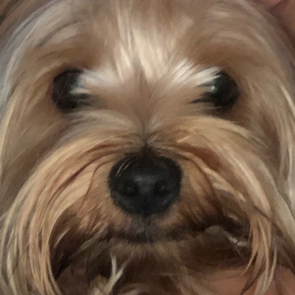 👋 Hi I’m Eden I ship from Los Angeles - Picture 2 of 2